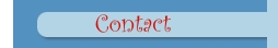 Contacts